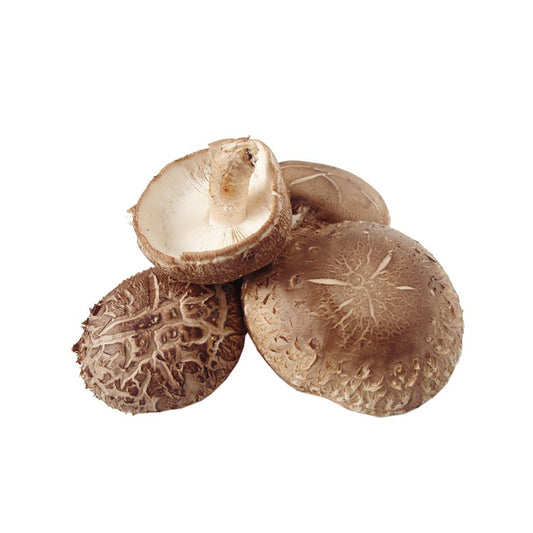 Leća (shitake). 50g